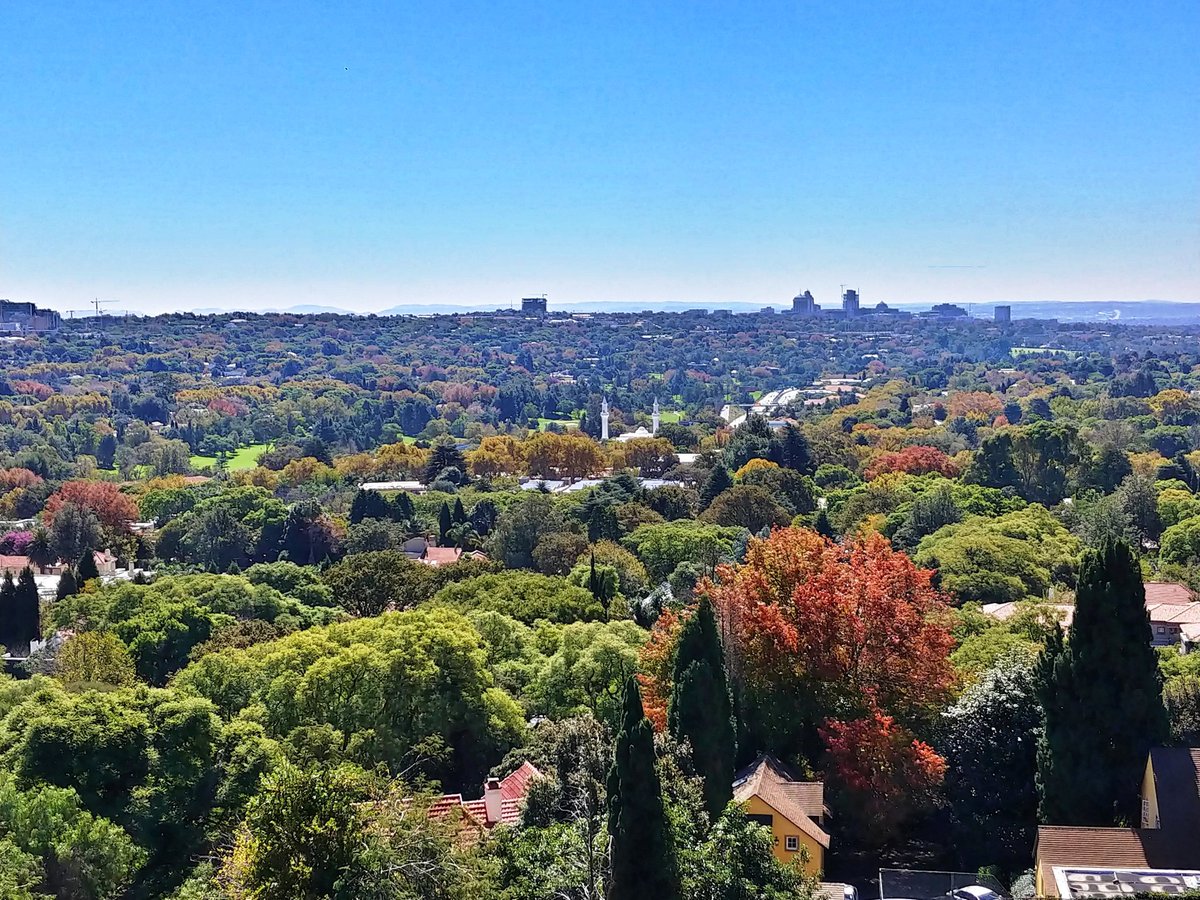 22/-There are sources assigning the title of largest urban forest to Johannesburg, South Africa, where 6 to 9.5 million trees have been planted;-Bajinca Forest or Byford's Forest in Belgrade, the capital of Serbia; Planted during 1948-1950, covers an area of 42 ha.