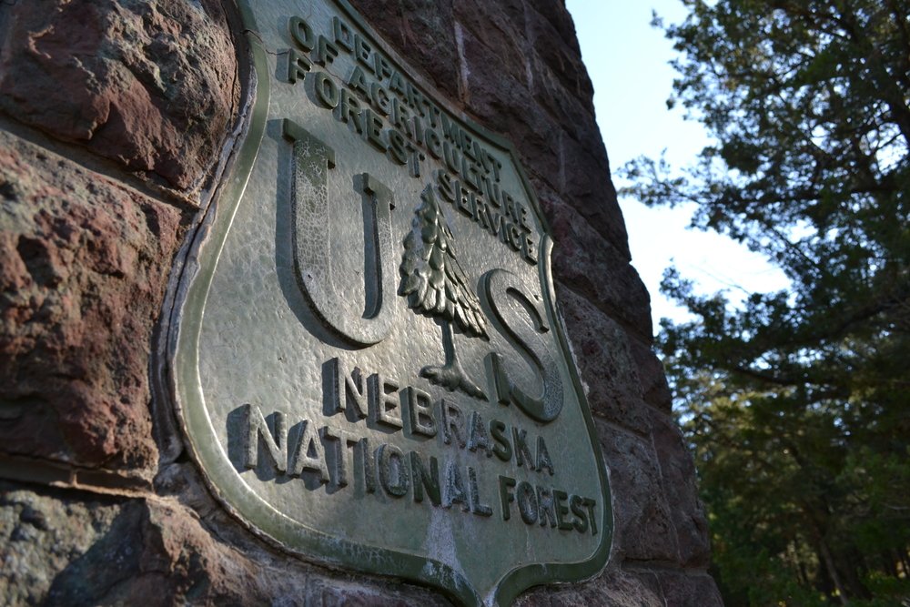 23/ Then there is the Nebraska National Forest, a US National Forest spread over 574 km² in the State of Nebraska. It began in 1902 as an experiment to produce trees and plant them in what is probably the largest human-made forest in the world today.