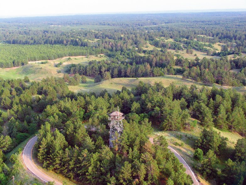 23/ Then there is the Nebraska National Forest, a US National Forest spread over 574 km² in the State of Nebraska. It began in 1902 as an experiment to produce trees and plant them in what is probably the largest human-made forest in the world today.