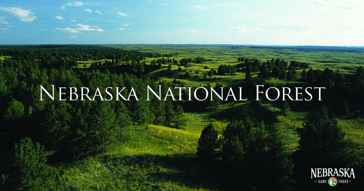 23/ Then there is the Nebraska National Forest, a US National Forest spread over 574 km² in the State of Nebraska. It began in 1902 as an experiment to produce trees and plant them in what is probably the largest human-made forest in the world today.