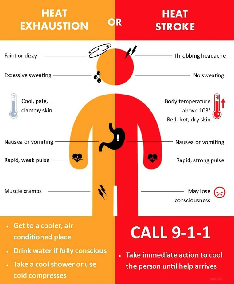 nationalgridus's tweet photo. We care about your safety as temperatures rise across our regions. Use this helpful guide to recognize the signs of heat exhaustion and heat stroke – and know the difference. #HeatTweets For tips on how to stay cool visit: https://t.co/ZJq4pLK6vp https://t.co/k6aP9na3Ch