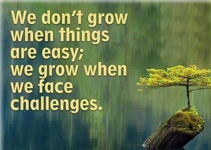 Challenges bring #Growth! #JoyTrain #SuccessTRAIN #Joy #Love #Kindness #Quote #Mindfulness RT @JonDLand