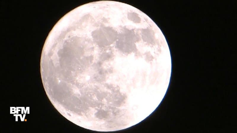 BFMTV's tweet photo. Un violent bombardement de météorites a touché la Lune il y a 800 millions d'années
https://t.co/4iofBagC5P https://t.co/QzkErdlOiM