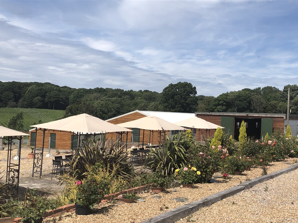 BluebellWines's tweet photo. Our outside event space is looking summer ready. Perfect for a glass of wine and picnic.
#seatingwithaview #englishsparklingwine #alfresco #vineyard #fizz https://t.co/bwxlXRevjr