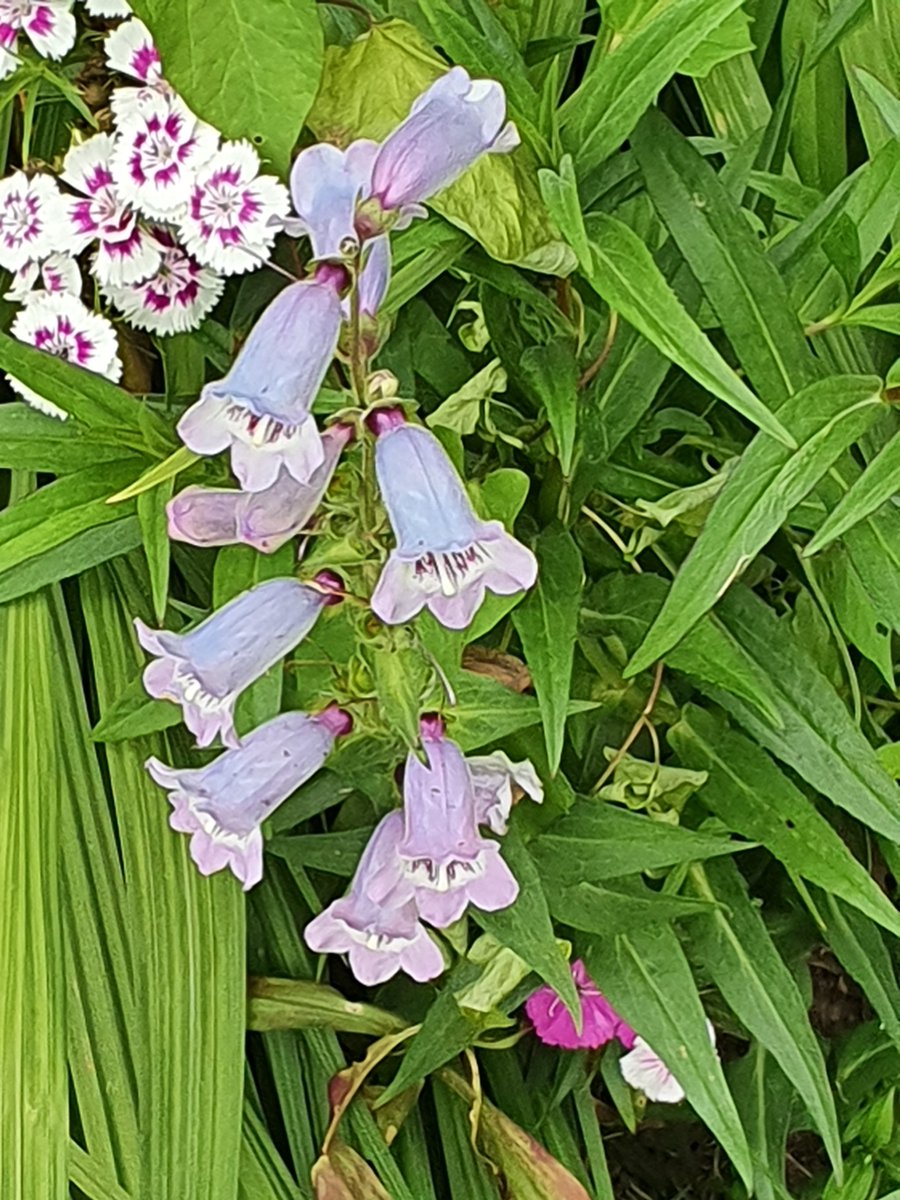 LeadinginWales's tweet photo. Spent a fascinating afternoon today @DewstowGardens &amp; Grottoes. Amazing gardens, flowers, pond area and grottoes #greatplacetovisit #wellimpressed https://t.co/rwBAePh4QV