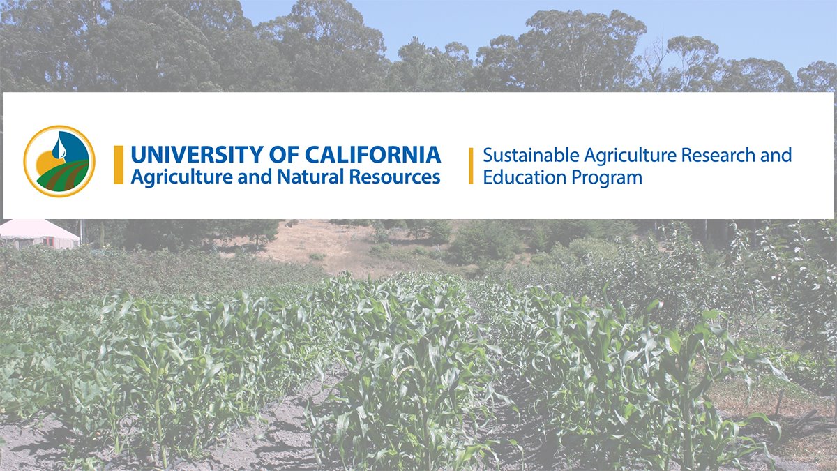 I’m Gail Feenstra; I direct the UC Sustainable Agriculture Research & Education Program (SAREP), part of  @UCANR. We support sustainable ag and regional food systems  https://sarep.ucdavis.edu/&nbsp;  #foodstudies20  @PetalumaBounty  @UCCESonoma  #CalFresh,  #EnvironmentalScan  #SNAPEdWorks