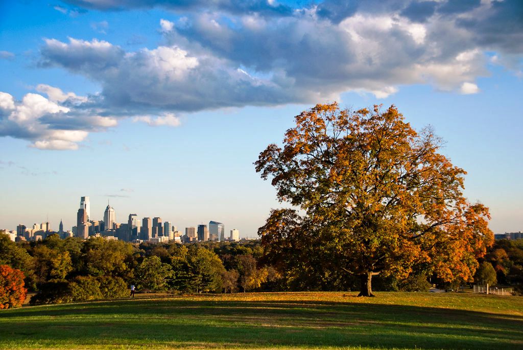 20/-Fairmount Park, Philadelphia, USA spread over 830 ha was established in the latter half of 19th Century;-Inwood Hill Park, in USA’s most populated city New York;-Rock Creek State Park in Washington DC;-Tampa Urban Forest: Estimated citywide tree cover in 2011 ~28%;