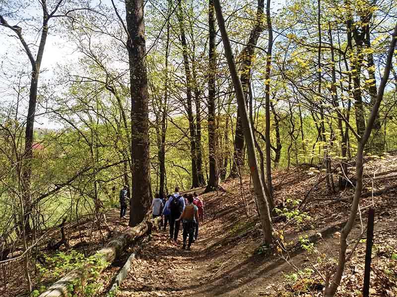 20/-Fairmount Park, Philadelphia, USA spread over 830 ha was established in the latter half of 19th Century;-Inwood Hill Park, in USA’s most populated city New York;-Rock Creek State Park in Washington DC;-Tampa Urban Forest: Estimated citywide tree cover in 2011 ~28%;