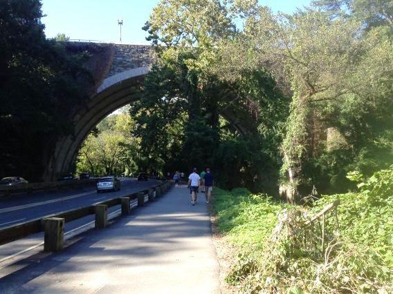 20/-Fairmount Park, Philadelphia, USA spread over 830 ha was established in the latter half of 19th Century;-Inwood Hill Park, in USA’s most populated city New York;-Rock Creek State Park in Washington DC;-Tampa Urban Forest: Estimated citywide tree cover in 2011 ~28%;