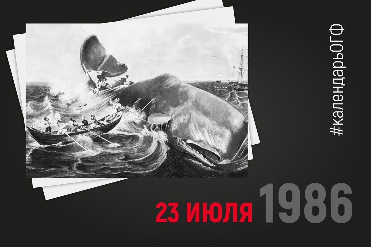 В 1986 году Международная китобойная комиссия, после 200 лет беспощадного истребления, ввела запрет на китобойный промысел. 
К сожалению, Россия сегодня активно развивает другой вариант этого бесчеловечного промысла — отлов и торговлю морскими животными ради шоу-бизнеса