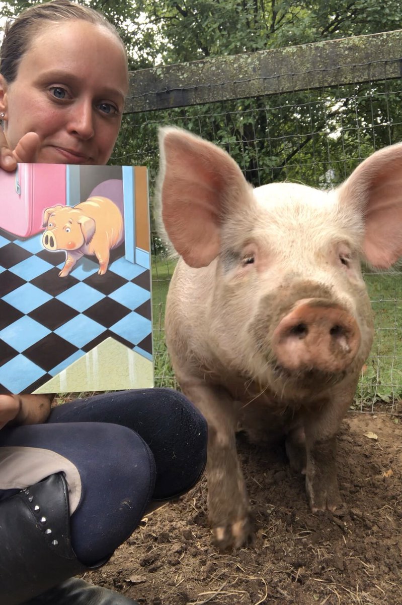 K_Spoto's tweet photo. Today, Eddie (short for Inedible) the rescue pig met Mercy Watson. In September, my Ss will meet both! π· #McKAPS #APSDistanceLearning @KateDicamillo https://t.co/WNiYmBYMrE