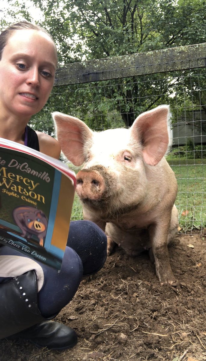 K_Spoto's tweet photo. Today, Eddie (short for Inedible) the rescue pig met Mercy Watson. In September, my Ss will meet both! π· #McKAPS #APSDistanceLearning @KateDicamillo https://t.co/WNiYmBYMrE
