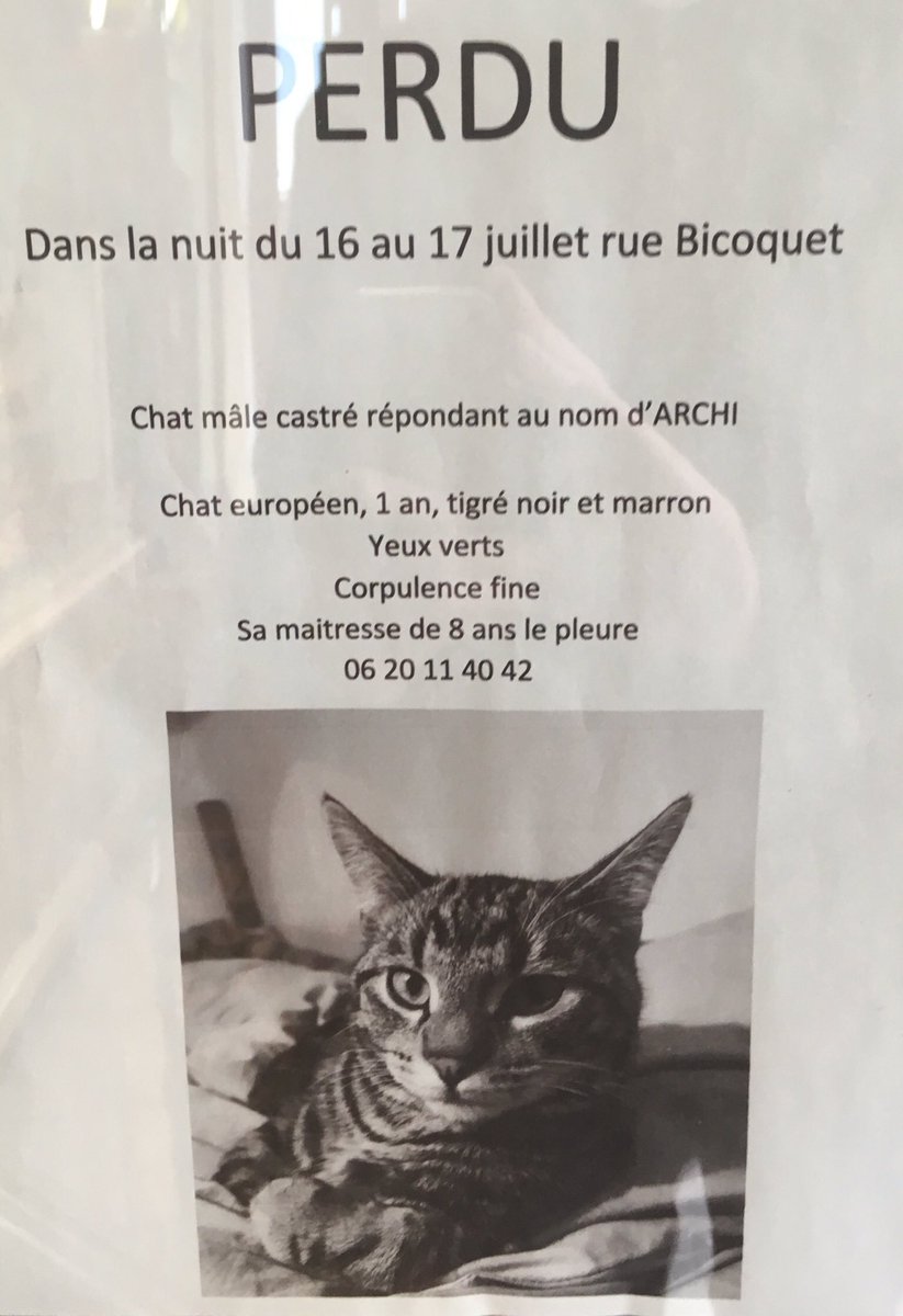 #ChatPerdu #ChatPerduCaen #Caen #RechercheChat #PerduChat