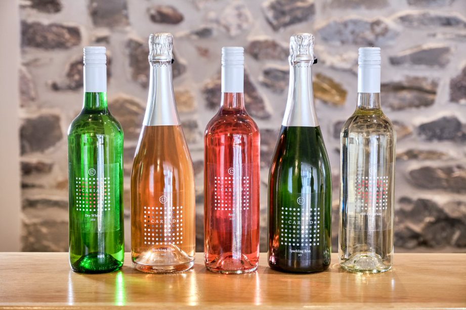 BBCRadioWales's tweet photo. It's a little early but cheers! It's #welshwineweek on Country Focus coming up on https://t.co/Xbrff6Louy at 7 o'clock this morning
with @carolineevans10 
@food_lockdown @SlowFoodNEW
@mariclarecj @Welsh_Wine_Week
@aledscourfield #9trees @PaulineGSmith
@HuwJenk &amp; Molly #woof https://t.co/wGj0nckXX5