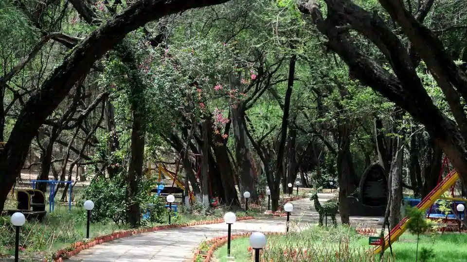 26/ Chandigarh is one of the greenest cities of the country with ~41% of geographical area under forest cover. In addition to a recently developed 100 ha city forest near Sukhna lake in 2018, it has many small parks & gardens and Sukhna WLS (~26 km2).