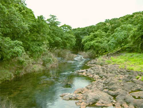 27/ Mumbai: Sanjay Gandhi National Park, established in 1996 with headquarters at Borivali, is a 87 km2 protected area having rich flora and fauna. It is one of the most unique national parks of the country due to its setting within the limits of a major city.