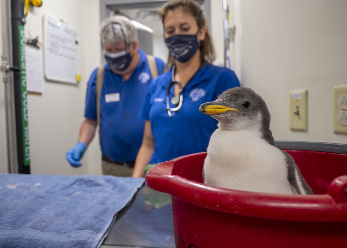 WTVC NewsChannel 9 tweet media