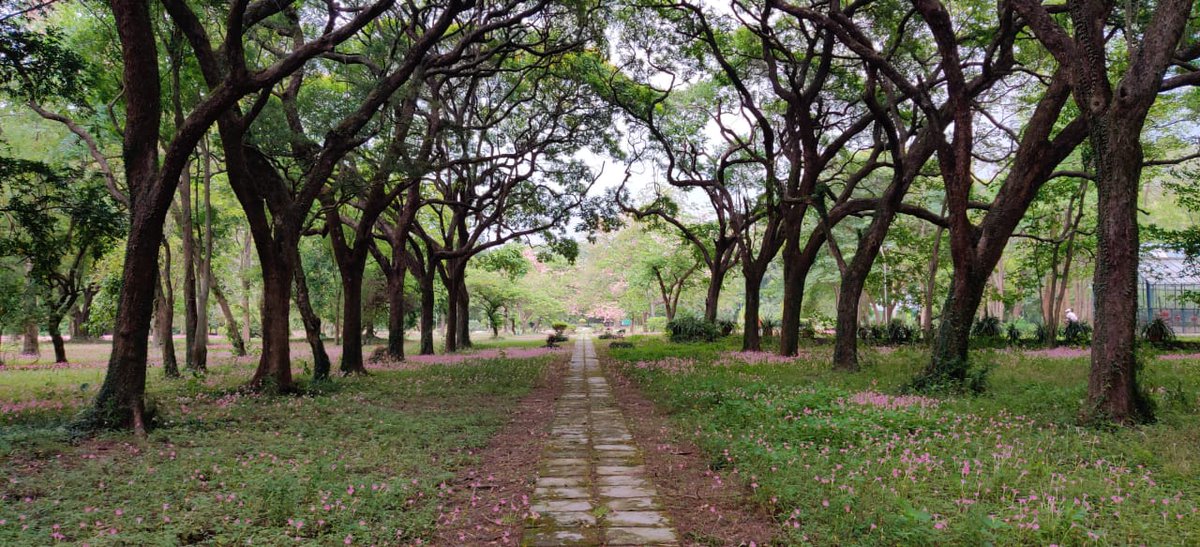 28/ New Forest, Dehradun: New Forest is situated in the picturesque Doon valley and is home to the historical & iconic FRI building. The campus, spread over an area of about 500 ha, is very rich in biodiversity. It is rightly considered as the heart & soul of Dehradun.