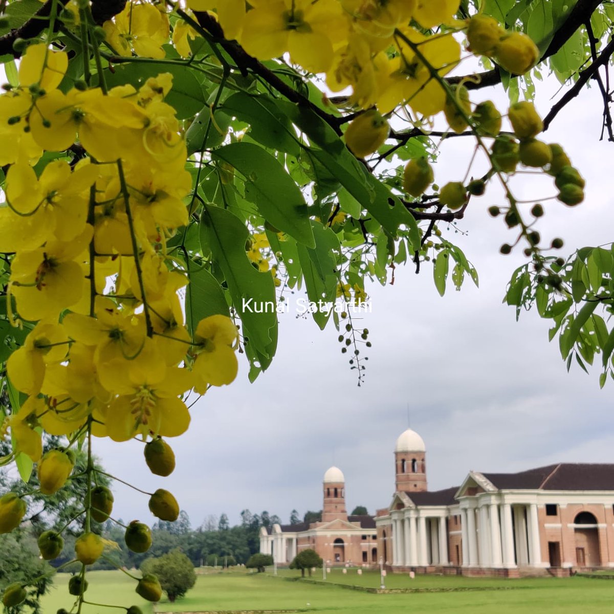 28/ New Forest, Dehradun: New Forest is situated in the picturesque Doon valley and is home to the historical & iconic FRI building. The campus, spread over an area of about 500 ha, is very rich in biodiversity. It is rightly considered as the heart & soul of Dehradun.