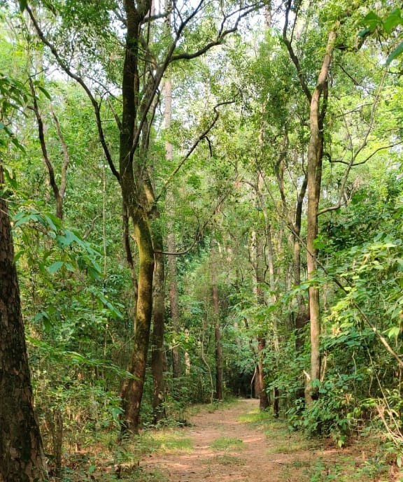 28/ New Forest, Dehradun: New Forest is situated in the picturesque Doon valley and is home to the historical & iconic FRI building. The campus, spread over an area of about 500 ha, is very rich in biodiversity. It is rightly considered as the heart & soul of Dehradun.