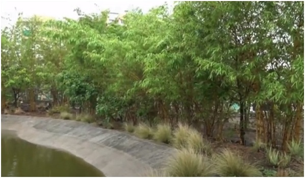 31/ Warje Urban Forest or Smriti Van in Pune: A pioneering urban forest initiative which began in 2015-16 with Maharashtra Forest Department joining hands with NGOs, corporate sector & civil society, now boasts of > 6,500 grown up trees on a once barren hill.