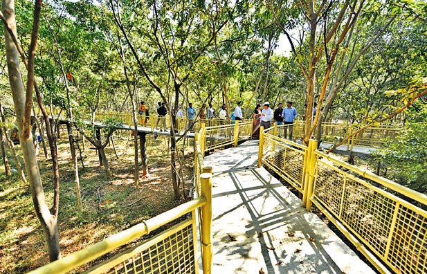 32/ Hyderabad: There are 188 Forest Blocks covering an area of ~64,000 ha within the Hyderabad municipal limits. It has been decided to develop 52 locations as Urban Forests out of 32 locations have already been developed greatly enhancing the lung capacities of the city.