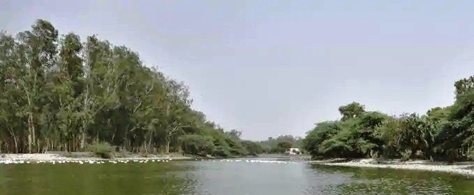 35/ -All open spaces in the institutional areas, housing societies & parks, and streets sides should be planted with suitable native species;-River bank plantation should be raised along rivers or streams passing through the urban areas;