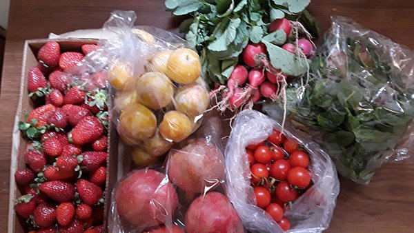 Here are some pictures taken by reviewers of what they were able to purchase with their $20 in tokens and vouchers.  #foodstudies20  @UCANR  @PetalumaBounty  @UCCESonoma  #CalFresh,  #EnvironmentalScan  #SNAPEdWorks