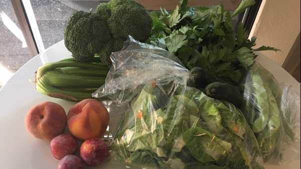 Here are some pictures taken by reviewers of what they were able to purchase with their $20 in tokens and vouchers.  #foodstudies20  @UCANR  @PetalumaBounty  @UCCESonoma  #CalFresh,  #EnvironmentalScan  #SNAPEdWorks