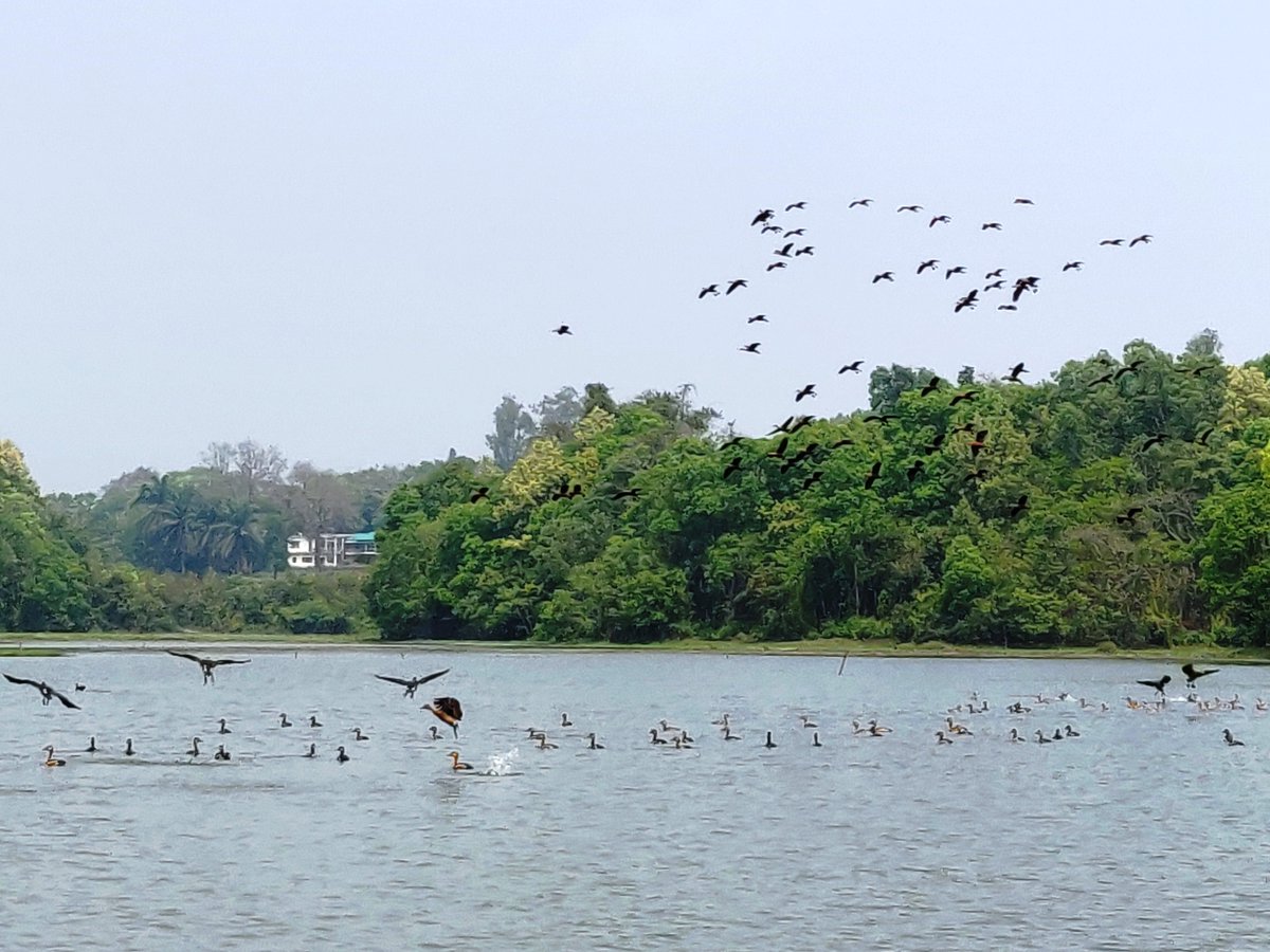 40/ Imagine our cities honeycombed with forests & green spaces where children can enjoy music created by chirping birds on a breezy pristine morning; marvel at the beauty of butterflies on wild flowers; wonder at changing colours of nature; appreciate creation of life in nature;