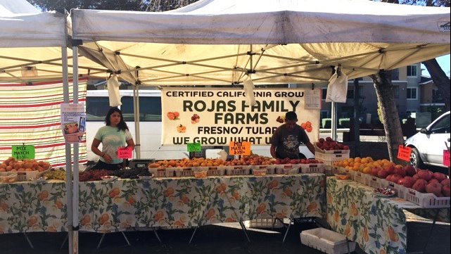 All reviewers reported hearing languages other than English at all markets (mostly Spanish), except 1 reviewer at 1 market.  #foodstudies20  @UCANR  @PetalumaBounty  @VictoryGrower  @UCCESonoma  #CalFresh,  #EnvironmentalScan  #SNAPEdWorks
