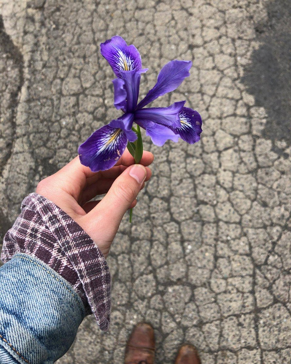 "we’re gonna cut our mountain to pieces cuz we think we’re just not going to need it”