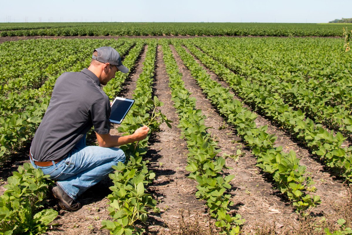 SierraWireless's tweet photo. #LPWA technologies provide many advantages including lower power usage, lower costs, better coverage in rural and indoor locations, and higher capacity. But how does #LTE-M and #NB-IOT deliver these benefits? And what exactly is #eDRX? Find out: https://t.co/pyQLlfTcc8 https://t.co/cZtHLxNYUo