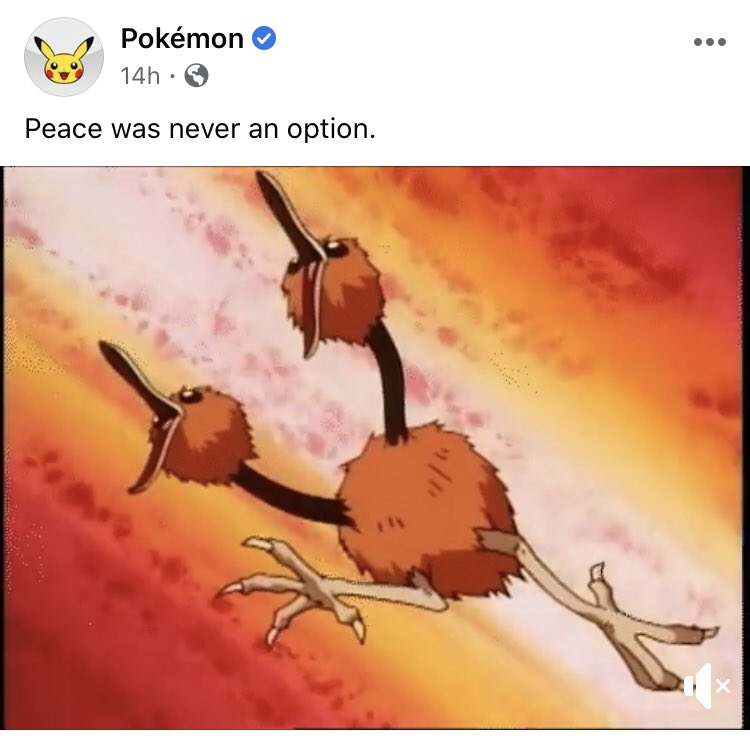 Doduo is an front line Antifa soldier confirmed