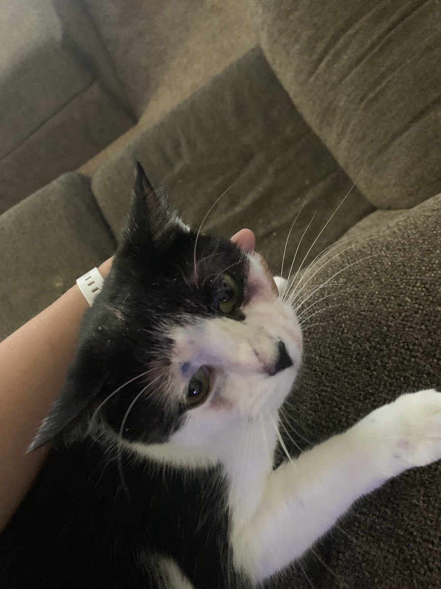 Myranda ❤️ tweet media