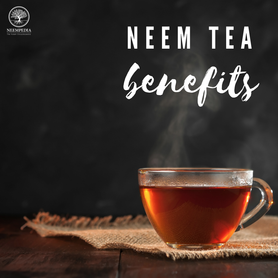 Neempedia's tweet photo. Neem tea is believed to stimulate the immune system, improve liver function, promote circulation, digestive, and respiratory health, and detoxify the blood. As you can see neem can be a very positive implementation in your life, learn more at by visiting https://t.co/elwzRqqtmc! https://t.co/3CMmngpXjG