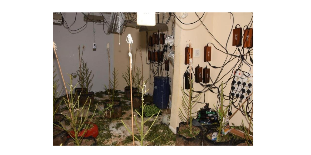 ClevelandPolice's tweet photo. We're sharing pics from a cannabis farm in #Hartlepool to show reporting your suspicions could save lives. Criminals who run farms often use electricity dangerously. @ClevelandFB said 'overloading sockets to source power is highly dangerous and can easily spark a fire'. Call 101 https://t.co/lAEAwN9Pws