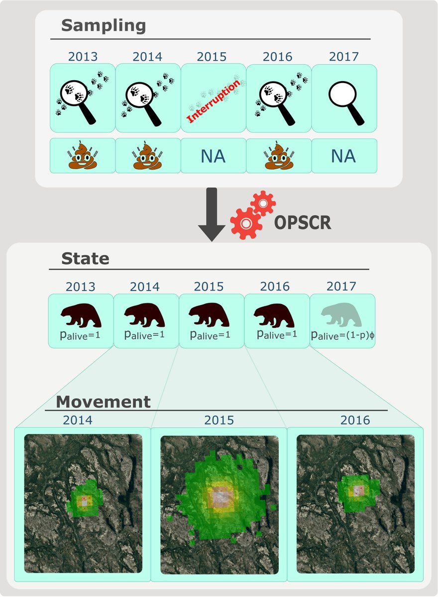 ESAEcosphere's tweet image. Open population spatial capture–recapture models can reliably address sampling interruptions and infer organism abundance. #OPSCR #populationmonitoring #openaccess @Milleret_Cyril @PDupont17 @joechip90 @oaggimenez 

esajournals.onlinelibrary.wiley.com/doi/10.1002/ec…