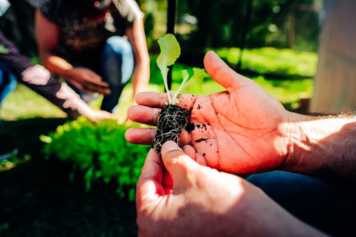 Ahora en Eldorado con el intendente <a href="/FMFabioMartinez/">FabioMartinez</a> y la ministra de Accion Cooperativa entregamos plantines hortícolas y equipamiento para pequeños productores. Seguimos en la tarea cotidiana de fortalecer a nuestros productores.