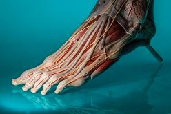 RT <a href="/DGArmstrong/">David G. Armstrong follow @dgarmstrong.bsky.social</a>
Better diabetic foot disease care would save taxpayers billions buff.ly/2MNl4Zs