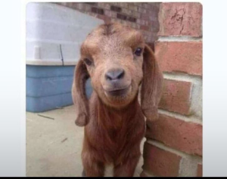 RealLuki_SA's tweet image. Asizwe ke #ImmediateEffect #cyrilramaphosa