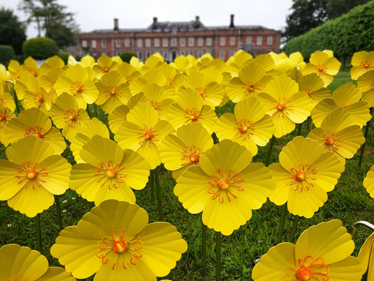 Oh no, that was a shame .<a href="/ITVWales/">ITV Wales News</a> ... nevermind the show must go on! Lovely piece of film 🎥 Del, Pam and our beautiful Welsh poppies enjoyed meeting .<a href="/ITVRobShelley/">Rob Shelley</a> this week at .@ErddigNT  #NorthWales #TVLIFE