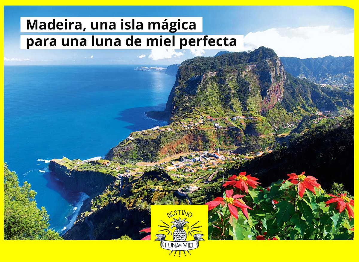 La isla de #Madeira es el lugar perfecto para vivir unas vacaciones rodeados de una naturaleza excepcional, de montañas, bosques y valles; de jardines, museos, fiestas y tradiciones; de aguas cálidas e infinitas actividades acuáticas.

destinolunademiel.com/donde-ir/madei…