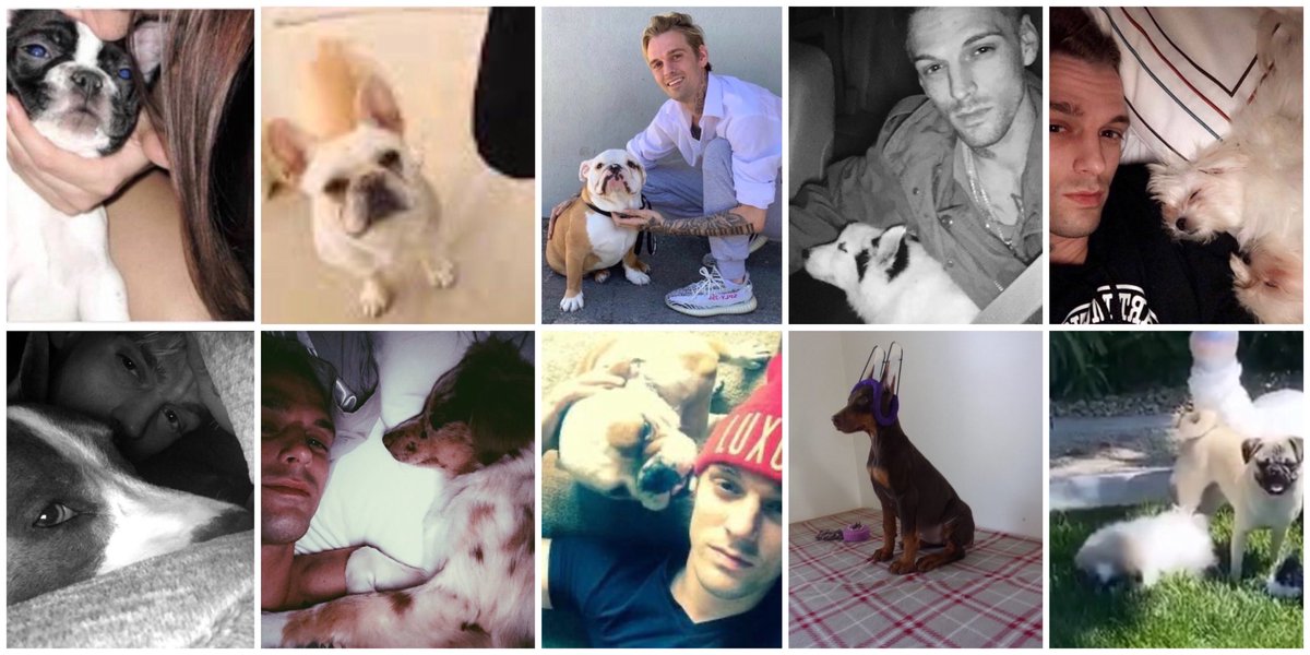 Kennedy14336012's tweet photo. Tell me why ALL of these 15 + dogs are:✔️MISSING✔️ABUSED/NEGLECTED✔️DEAD What do these dogs all have in common? ⚠️Aaron Carter⚠️Where are all the missing dogs Aaron Carter???????? Why are some of these dogs DEAD Aaron Carter???? @LACoAnimalCare https://t.co/d4IUg7ixZt