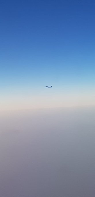 عرض الصورة على تويتر