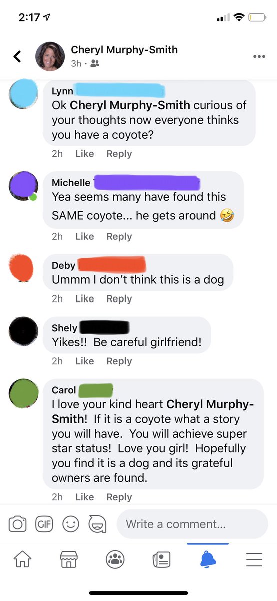 jacob_smith1172's tweet photo. My mom has convinced a truly remarkable amount of people on Facebook that she is driving around town with a live coyote in her car. It’s getting to the point where some are commending her for her heart of gold for picking up a LIVE COYOTE 🤦🏻‍♂️ https://t.co/vKF3xLFgKb
