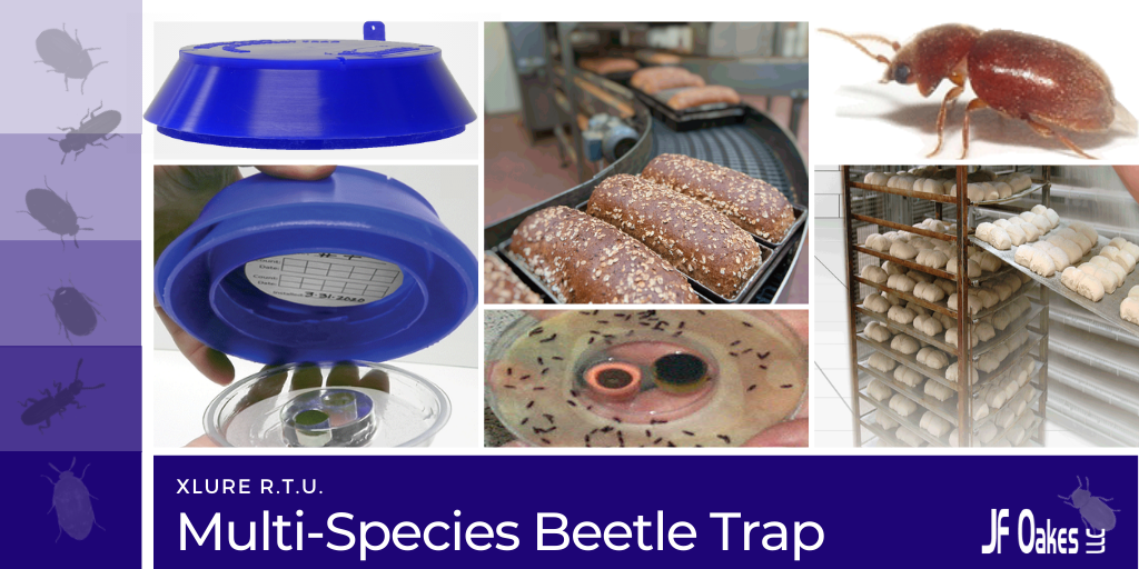 An insect infestation in any of your food processing plants, storage facilities or restaurant accounts can shut them down and ruin their brand name.  Protect your accounts from insect ‘incidents’ with Xlure Multi-Species Beetle Traps. Learn more: bit.ly/3g7YLuJ