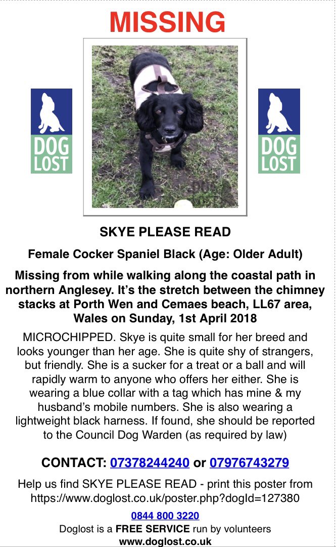 rosiedoc666's tweet photo. #SpanielHour
SKYE #cockerspaniel@went missing on walk in Northern #Anglesley along coastal path between
Chimney Stacks at #PorthWen /#Cemaes Beach 1/4/18
Was she found....did some1 take her home/older adult
Really hope so #WALES
Tagged/chipped&spayed https://t.co/DQcGrZCFph https://t.co/JTbH2QpdHv
