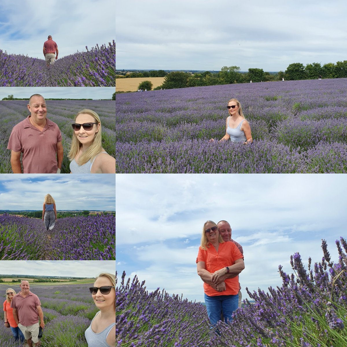 lornie45's tweet photo. Gorgeous day with my parents @HitchinLavender today 💕 #gorgeous #lavender #bestday #parenttime #qualitytime #summerholidays https://t.co/6p0yBiNrAe