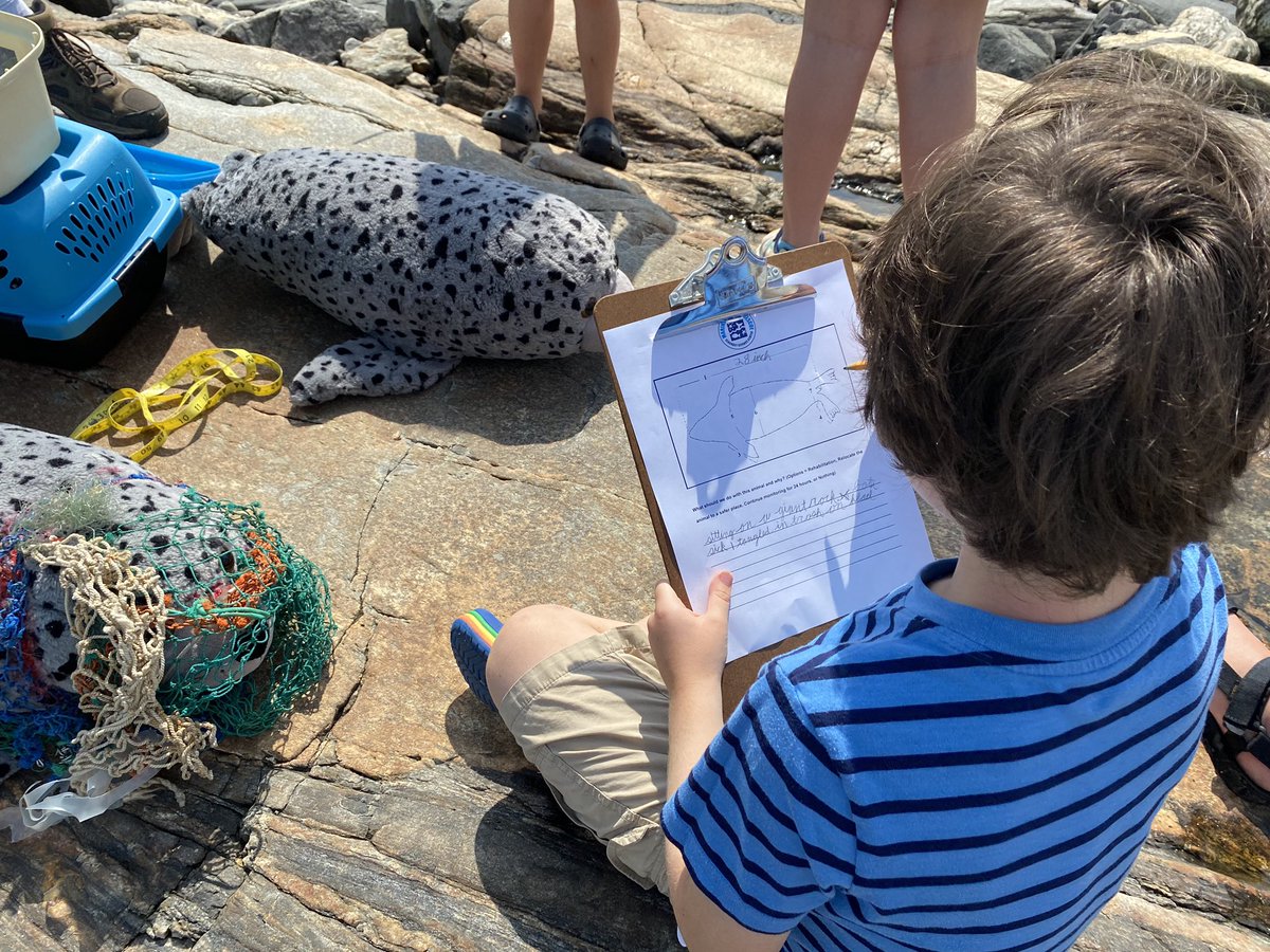 SeacoastSciCtr's tweet image. Seals ahoy! Our Marine Mammal Rescue team conducted mock seal rescues with our environmental day campers today. Now a new generation know what to do if they see a seal on the beach. #stayback #sealdistancing